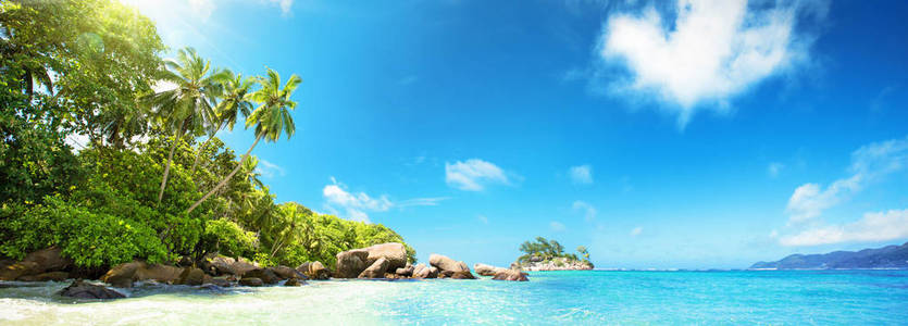 塞舌尔群岛。热带天堂中的棕榈滩