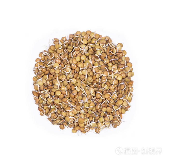 大型生物食品.扁豆芽顶部视图隔离