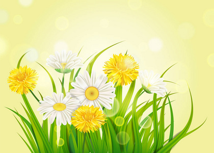 春天雏菊和蒲公英背景新鲜的绿草, 宜人多汁的春天颜色, 向量, 例证, 模板, 横幅, 被隔绝