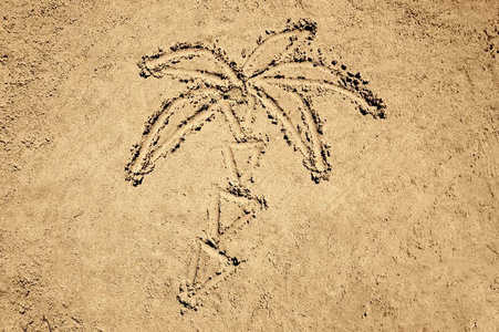 棕榈树海滩沙子