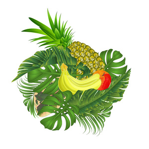 热带水果香蕉和菠萝，带香蕉叶，白色背景矢量插图，可编辑手绘