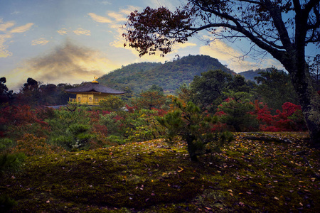 金阁寺金阁寺是日本京都最受欢迎的旅游目的地之一