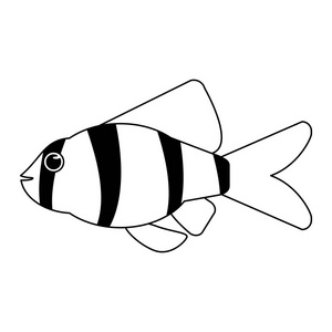 鱼海动物动画片在黑白