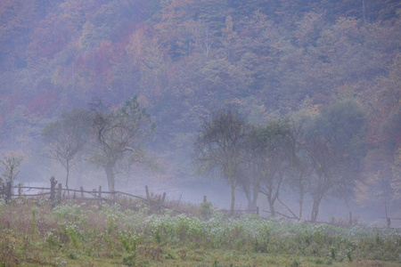 群山中偏远的农村地区令人毛骨悚然的风景，薄雾云和秋叶