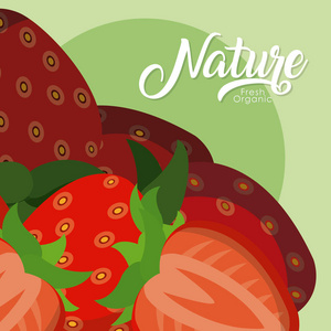 草莓半切水果矢量图平面设计