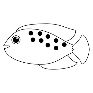 鱼海动物动画片在黑白