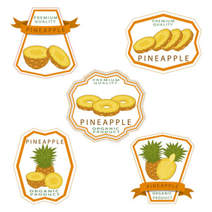 插图主题大集不同类型的黄色热带菠萝绿茎各种大小。 菠萝图案由有机饮料的热带餐组成。 吃热带菠萝。