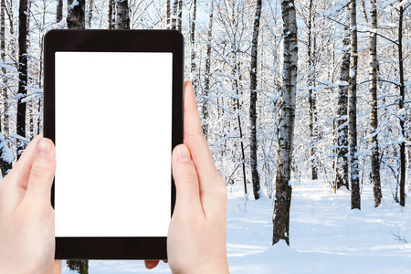 旅游概念旅游图片莫斯科市雪城公园冬天树干上智能手机空切割屏空白地方广告