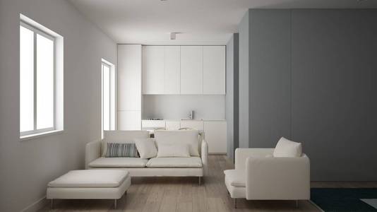 在一间卧室的公寓内提供极简主义的小厨房，带沙发的客厅扶手椅和沙发镶木地板白色室内设计干净的建筑理念