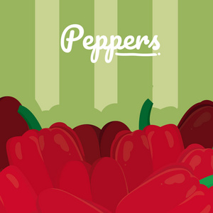 红辣椒蔬菜矢量图平面设计
