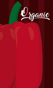红辣椒蔬菜矢量图平面设计