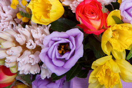 美丽的五颜六色的花，背景选择性的焦点