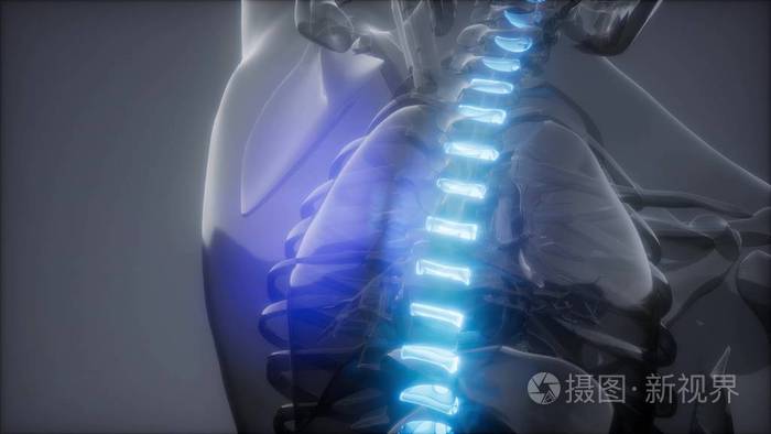 脊梁骨上的背痛. 人体脊椎骨发光的科学解剖扫描