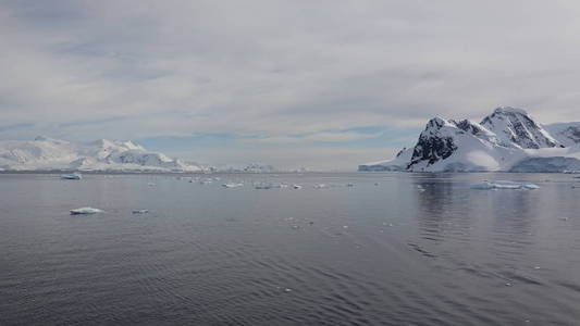 南极野生动物海滩极地海