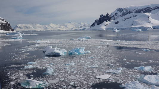 南极野生动物海滩极地海