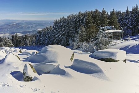 保加利亚索非亚市地区维托沙山冬季景观