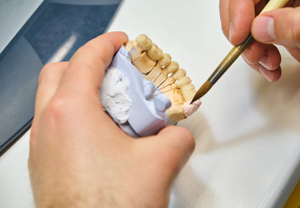 技师牙科正在与完整的上下金属陶瓷假体牙科。 牙科技师用刷子刷下颌模