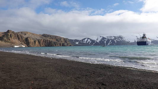 南极野生动物海滩极地海