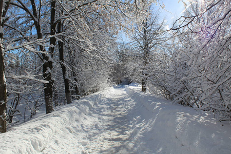 冬天森林里的雪路通往森林的道路的照片。季节是冬天。 寒冷，霜冻，阳光明媚。美丽的自然景观。白雪中的树木。国家俄罗斯。