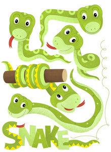卡通场景，白色背景上有一组蛇，有儿童动物插图的标志名称