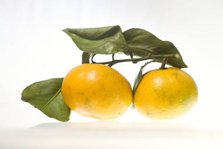 两个有绿叶的曼达林柑橘类水果, 在白色背景上被隔离