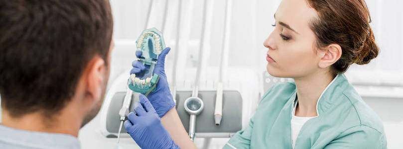 女性牙医持牙模型和牙刷在患者附近的选择性聚焦