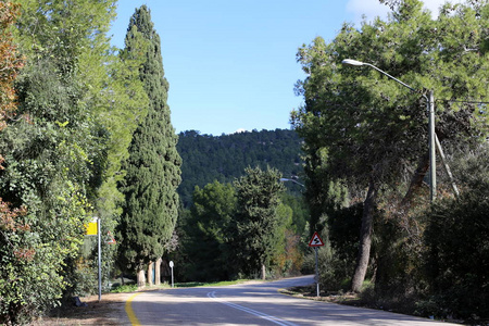 以色列国以北的山路