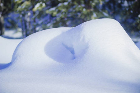 白雪皑皑的雪堆在美丽的冬日松林中