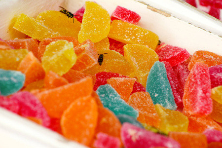 不同的明胶甜果糖糖果糖。 各种五颜六色的果冻糖果。 给孩子们的彩色糖果。 美味的多色糖果。 红色绿色橙色黄色背景。