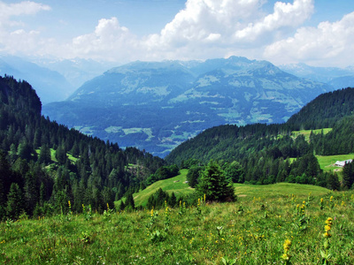 瑞士圣加伦州阿彭策尔阿尔卑斯山脉山坡上的高山牧场和草地