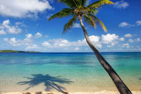 沙滩和倾斜的棕榈树在拉帕卡岛雅萨瓦岛斐济。 这个群岛由大约20个火山岛组成