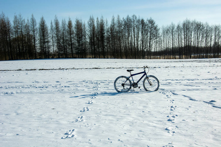 在森林附近的雪地上骑自行车