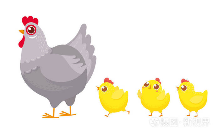 春鸡, 孵化小鸡和母鸡家庭卡通向量例证