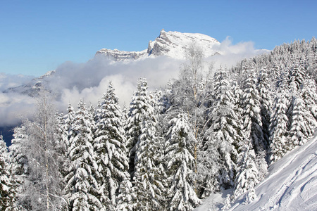 法国阿尔卑斯山的冬季景观