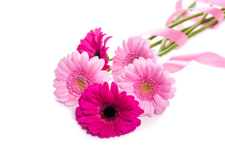 白色背景上的Gerberas粉红色Gerberas。 一束用粉红色丝带系的花。 在白色背景下分离