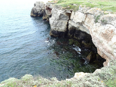 海景从港口壁纸背景关闭