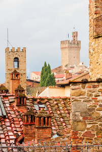 阿雷佐中世纪历史中心特色屋顶瓷砖和烟囱与旧塔的背景