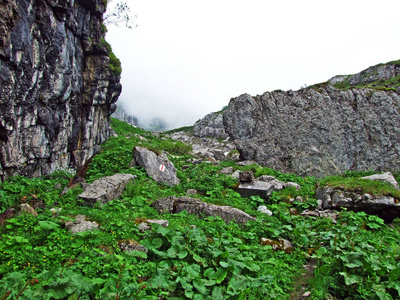 瑞士圣加伦州杜肯堡地区丘尔弗先恩山脉的石块和岩石