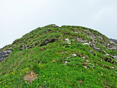 瑞士圣加伦州杜肯堡地区丘尔弗林登山脉斜坡上的高山牧场和草地