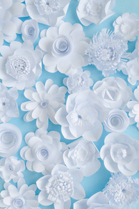 蓝色背景上的白纸花。 从纸上剪下来的花背景