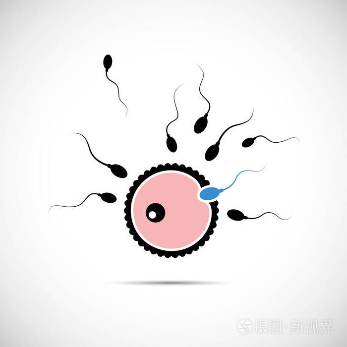 卵子和精子蓝色的繁殖
