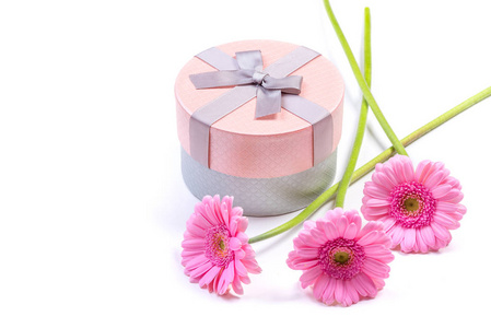 格伯拉花。 粉红色的格伯拉斯。 一个有鲜花环绕的礼物的盒子。
