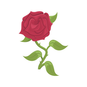 美丽的红玫瑰。 花卉排列矢量