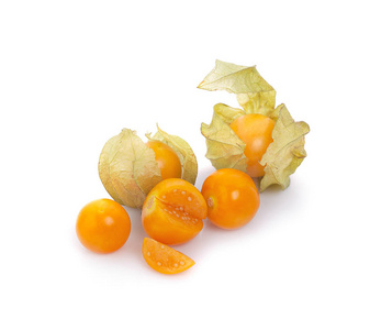 在白色背景上分离的Physalis