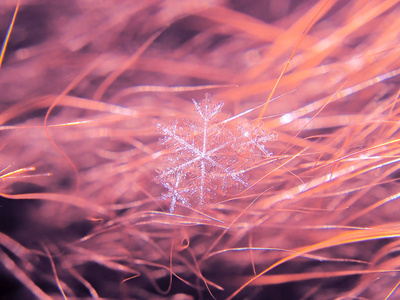 雪花在五颜六色的背景上美丽