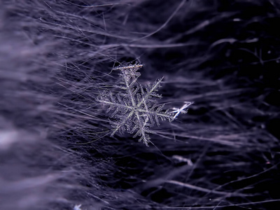 雪花在五颜六色的背景上美丽