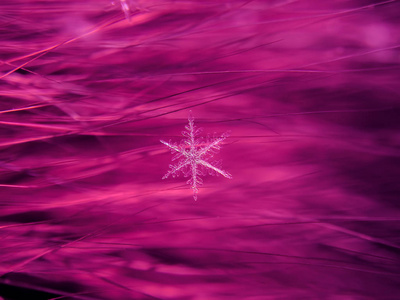 雪花在五颜六色的背景上美丽