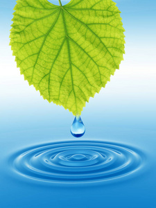 概念或概念清洁泉水或露珠从绿色的新鲜叶子上落在三维插图蓝色的清水上，使波浪