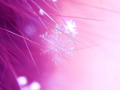 雪花在五颜六色的背景上美丽