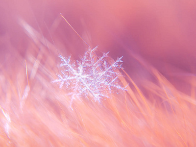 雪花在五颜六色的背景上美丽